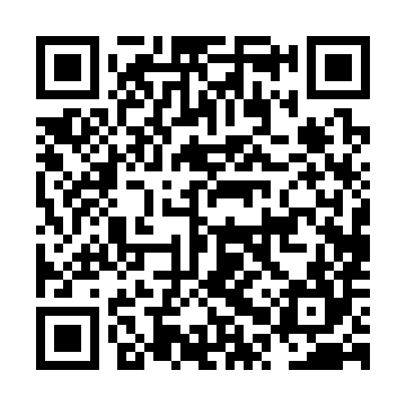 QR code for NPP384