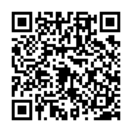 QR code for NPT6236