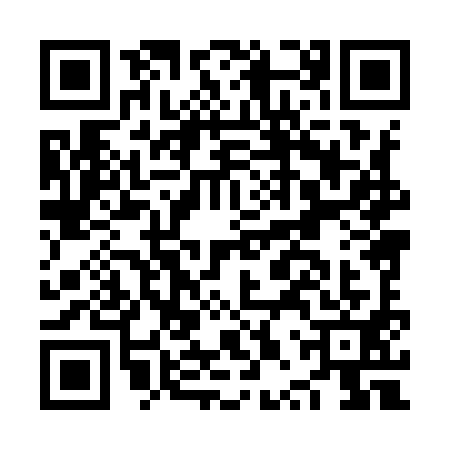 QR code for NPX9911
