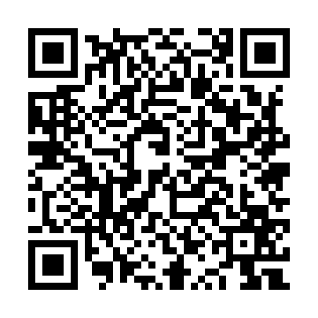 QR code for NQE9673