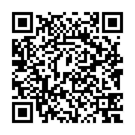 QR code for NQL1382