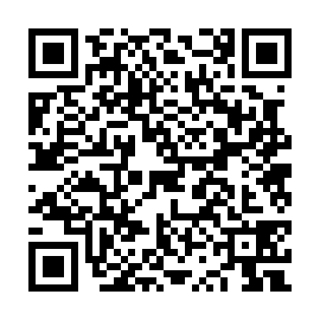 QR code for NSB0384