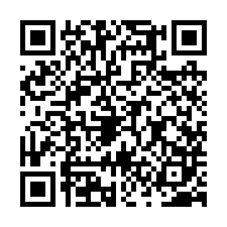 QR code for NSI2829