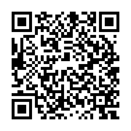 QR code for NUR2566