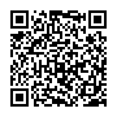QR code for NUR333