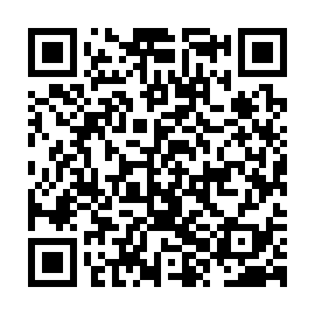 QR code for NXM339