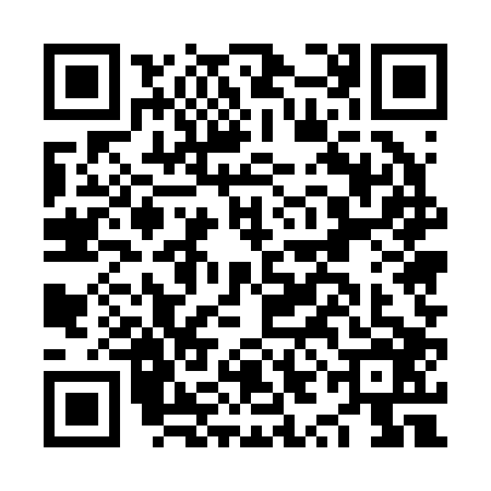 QR code for NYE2066