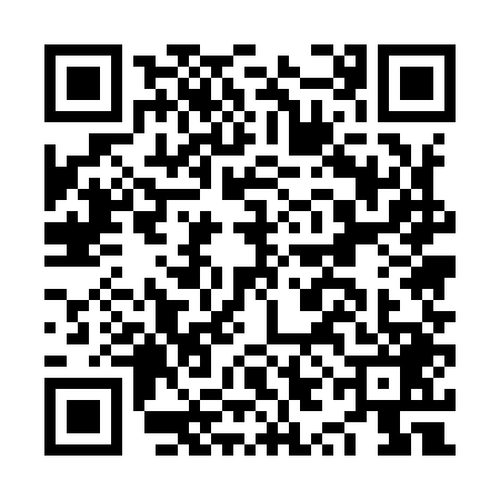 QR code for NYE9496