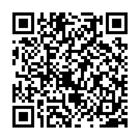 QR code for NYR2336