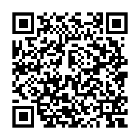 QR code for NYX6133