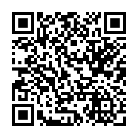 QR code for NZX335
