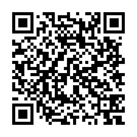 QR code for NZZ538