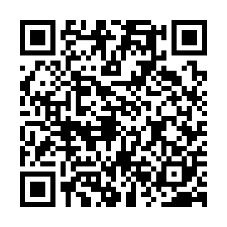 QR code for ORG3006