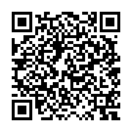QR code for ORG4106
