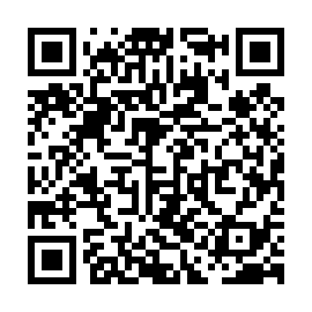 QR code for PAE439