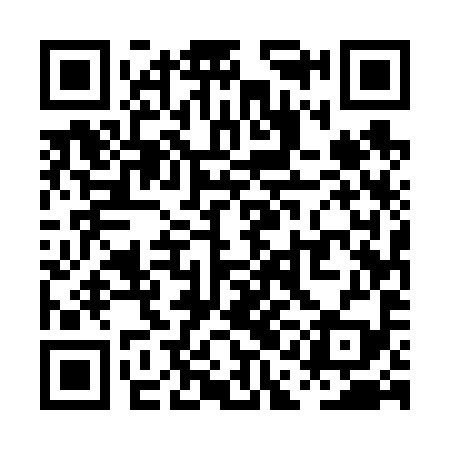 QR code for PAE699