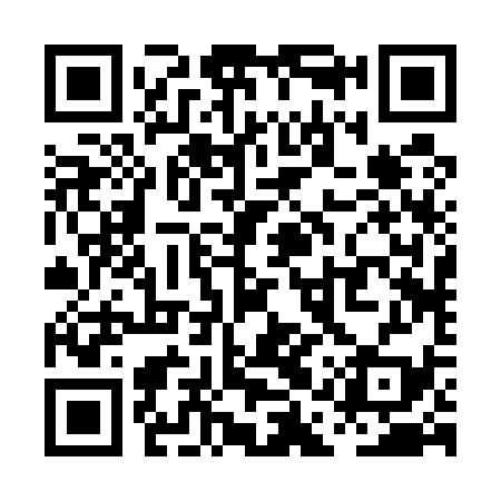 QR code for PAR539
