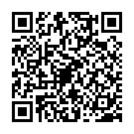 QR code for PAS1317