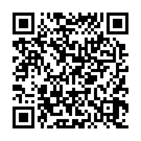 QR code for PAT368