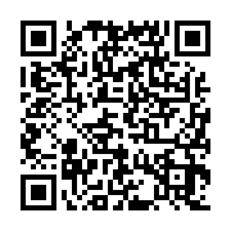 QR code for PAV0338