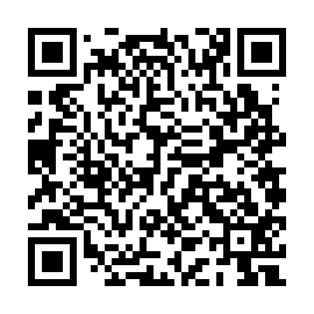 QR code for PAV313