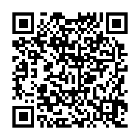 QR code for PAX384