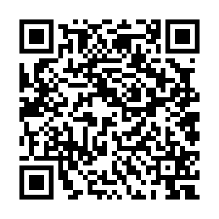 QR code for PDF0252