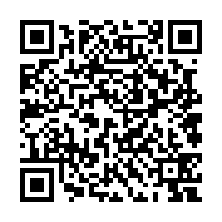 QR code for PDF0391