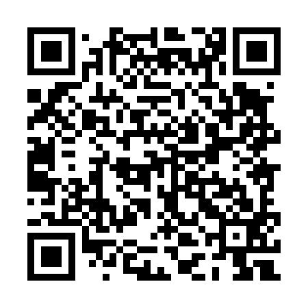 QR code for PDH493