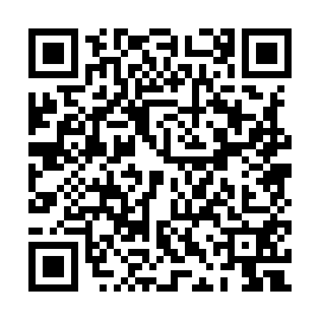 QR code for PDP9500