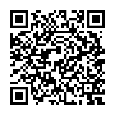 QR code for PEP6533