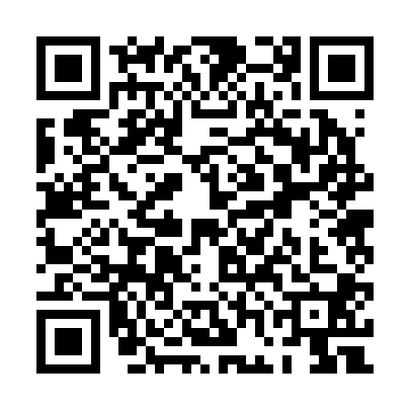 QR code for PGB2007