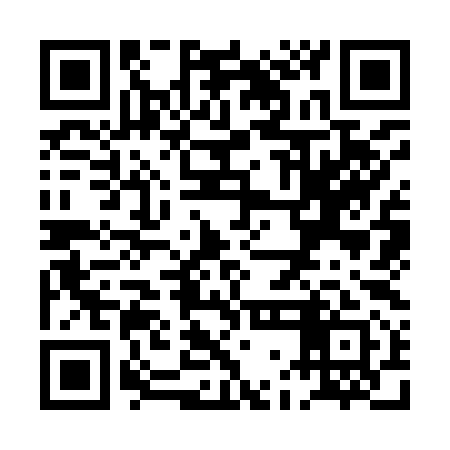 QR code for PGK991
