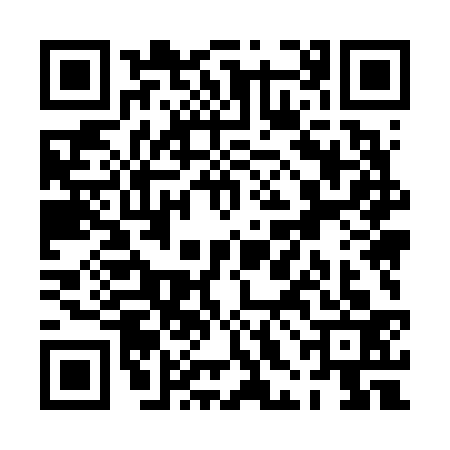 QR code for PHM6339