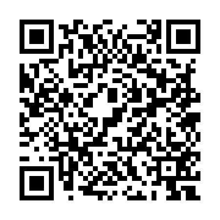 QR code for PHS9538