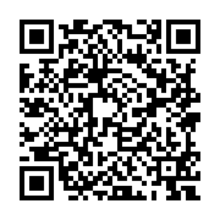 QR code for PJI9919