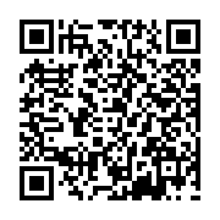 QR code for PJQ2011