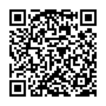 QR code for PLU595