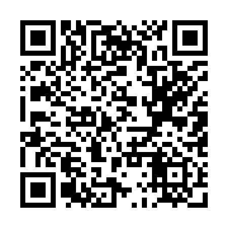 QR code for PLU919