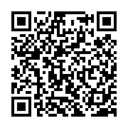 QR code for PMV411