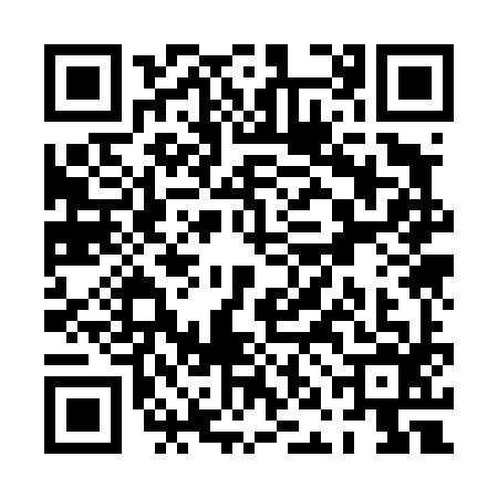 QR code for PNK4963