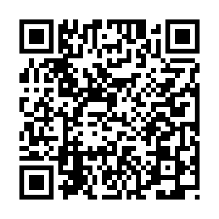 QR code for POJ2498