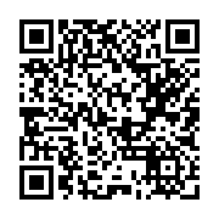 QR code for POO397