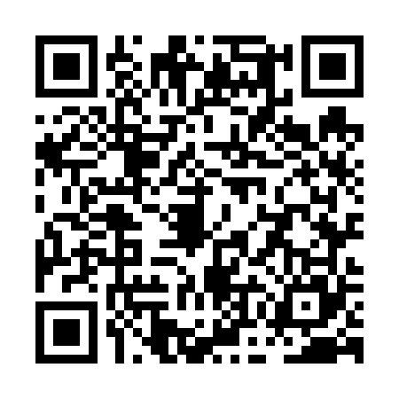 QR code for POO6658
