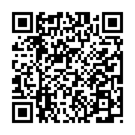 QR code for POO9580