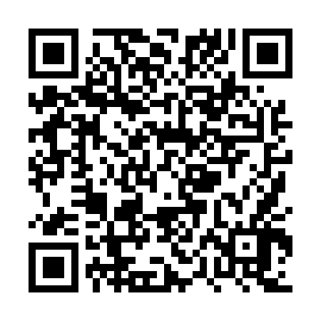 QR code for PPH546