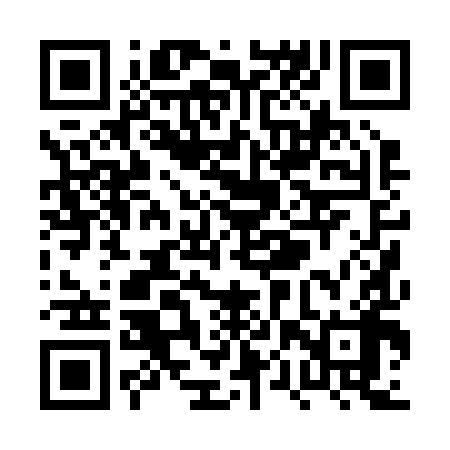 QR code for PPP298