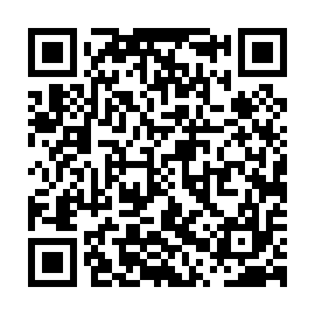 QR code for PPT017