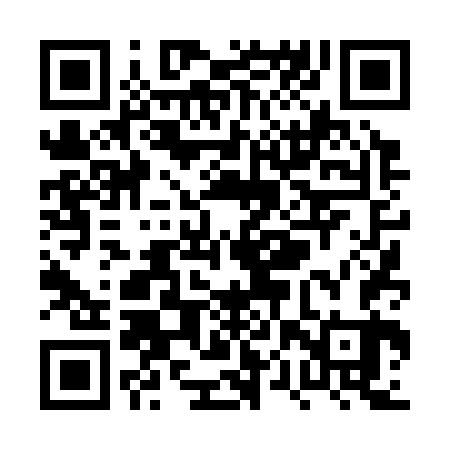 QR code for PPT363