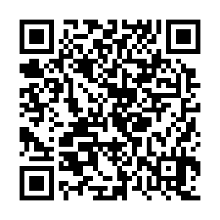 QR code for PPZ334